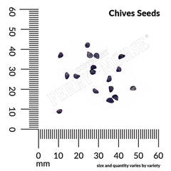 Chives, Organic Seeds, 400mg