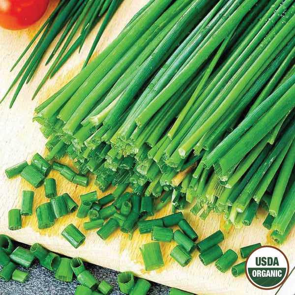 Chives, Garlic Organic Seeds, 400mg