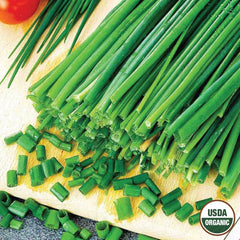 Chives, Garlic Organic Seeds, 400mg