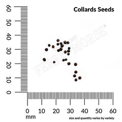 Collards, Georgia Southern Seeds, 3g
