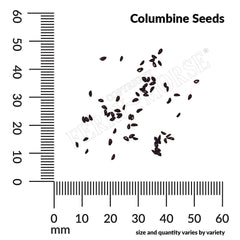Columbine, McKana's Giants Mixed Colors Seeds, 200mg