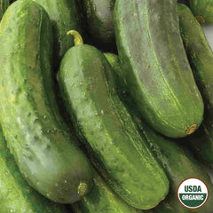 Cucumber, National Pickling Organic Seeds, 1.4g