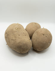 Sieglinde Organic - Seedsplant