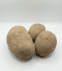 Sieglinde Organic - Seedsplant