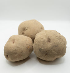 Warba Organic - Seedsplant