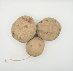 Chieftain Organic - Seedsplant