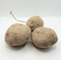 Chieftain Organic - Seedsplant