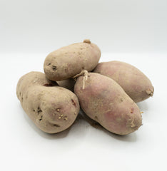 French Fingerling Organic - Seedsplant
