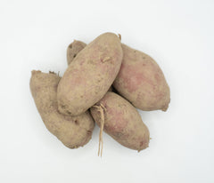 French Fingerling Organic - Seedsplant