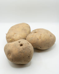 Kennebec Organic - Seedsplant