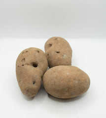 GemStar Russet Organic - Seedsplant