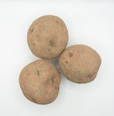Red Pontiac Organic - Seedsplant