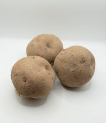Red Pontiac Organic - Seedsplant