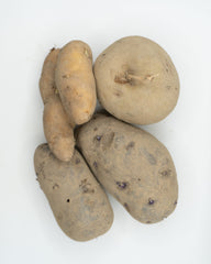 Potato Mix Organic - Seedsplant