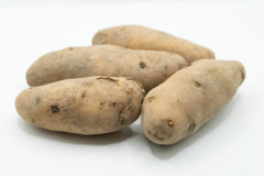 La Ratte Fingerling Organic - Seedsplant