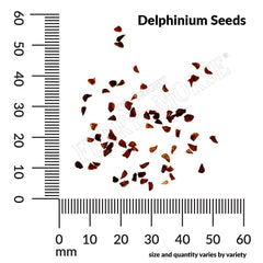 Delphinium, Emerald Pacific Mix Seeds, 200mg