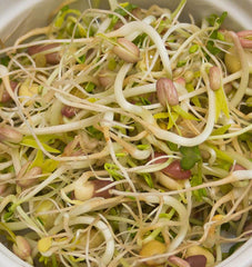 Deluxe Sprouting Seeds Blend Organic - Seedsplant