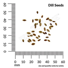 Dill, Mammoth Organic Seeds, 1.4g