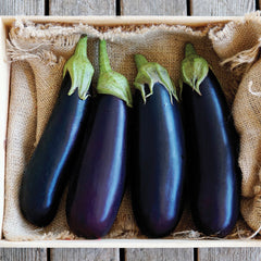 Turkish Delight Eggplant