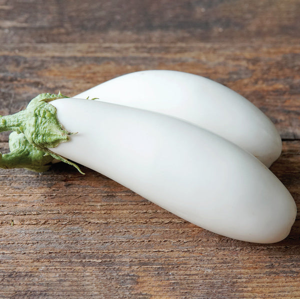 Snowy Eggplant