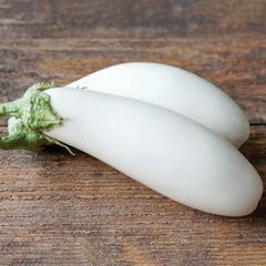 Snowy Eggplant