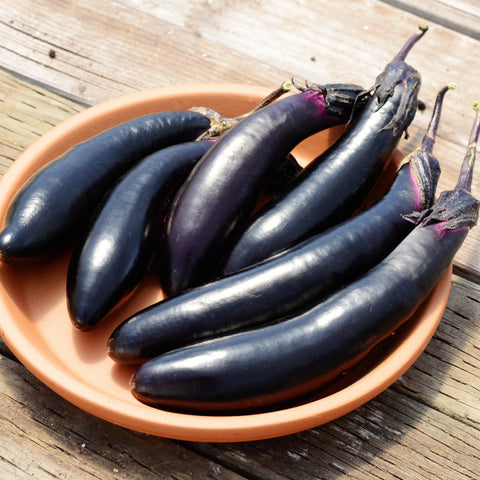 Millionaire Eggplant