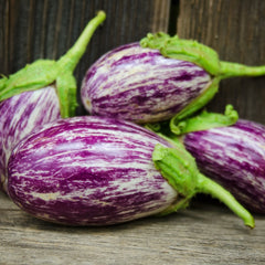 Listada De Gandia Eggplant