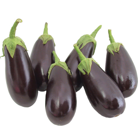 Michal Eggplant