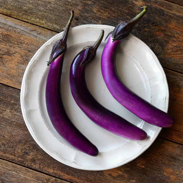 Ping Tung Long Eggplant