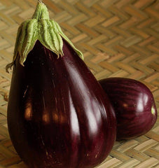 Black Beauty Organic