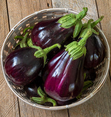 Black Beauty Organic