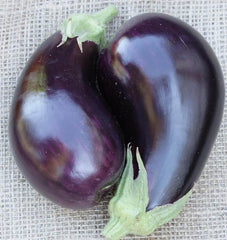 Traviata F1 Organic