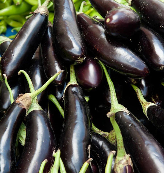 Fingerling Long Purple