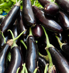 Fingerling Long Purple