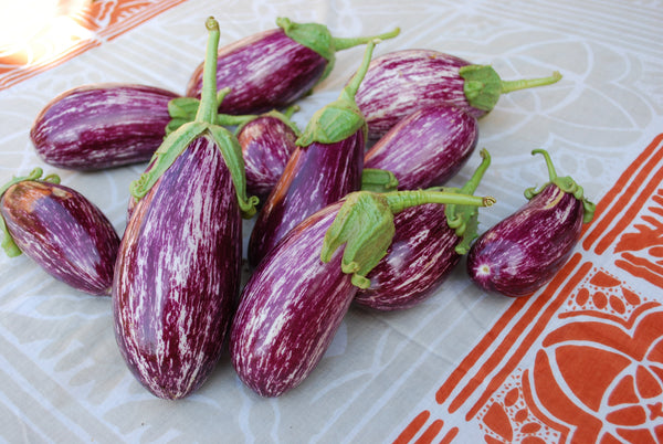 Listada de Gandia Organic
