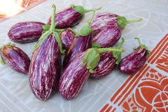 Listada de Gandia Organic