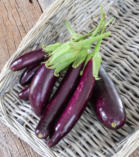 Little Finger Organic