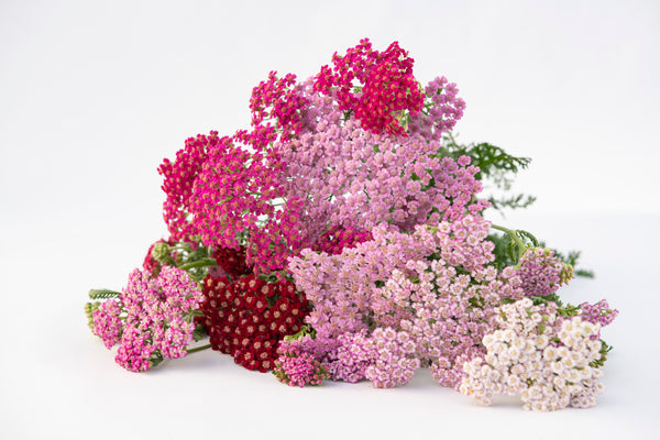 Flowerburst Fruit Bowl