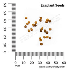 Eggplant, Long Purple Early Organic Seeds, 300mg
