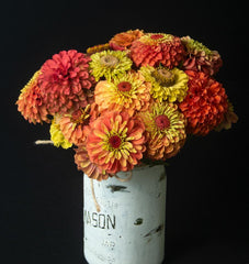 Queeny Lime Orange