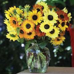 Soluna Mix Sunflower