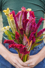 Supercrest Mix