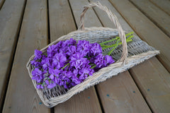 Katz Lavender Blue