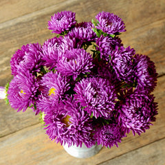 Tower Series Violet Aster