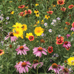 Bee Feed Mix