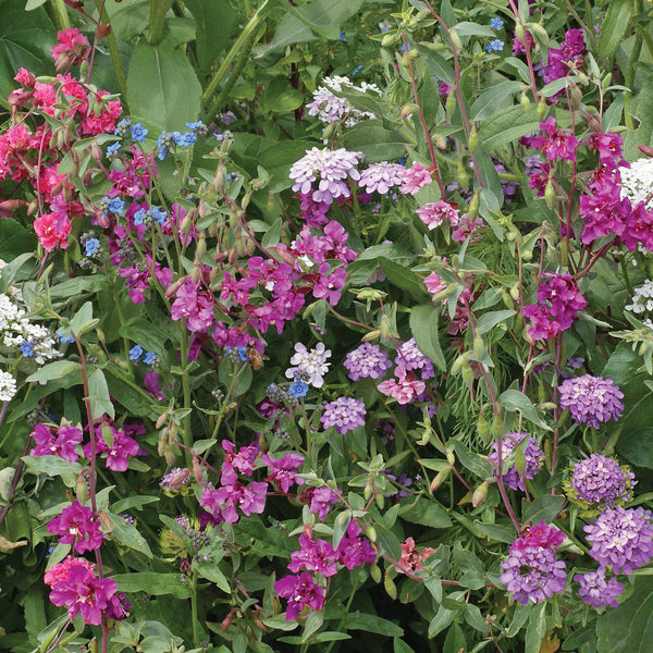 Shade Mix