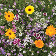 Fragrant Mix