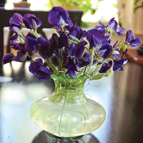 King Size Navy Blue Sweet Pea