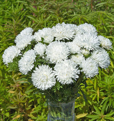 King Size White