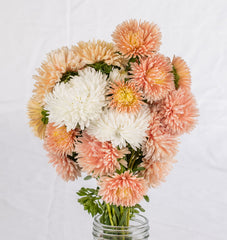 The Roses Mix